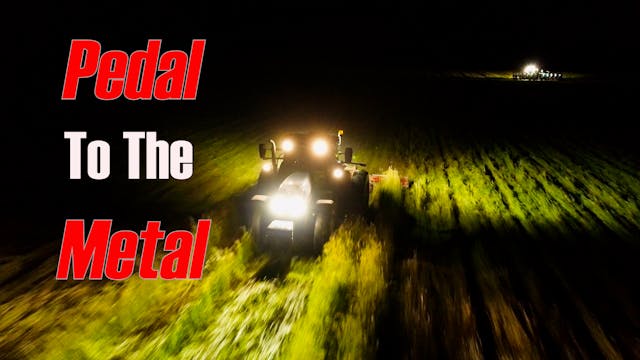 No Quitting Early Cotton Planting | G...