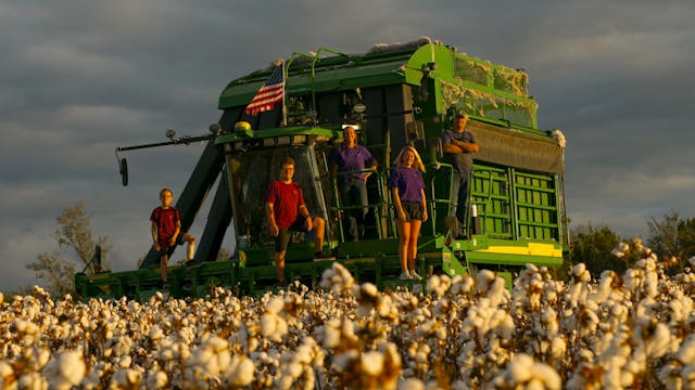 Welcome To Griggs Farms LLC!