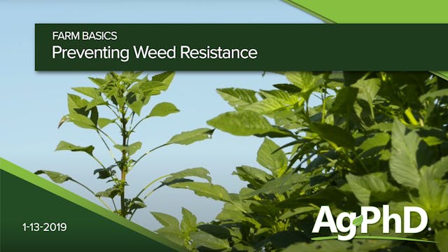 Preventing Weed Resistance