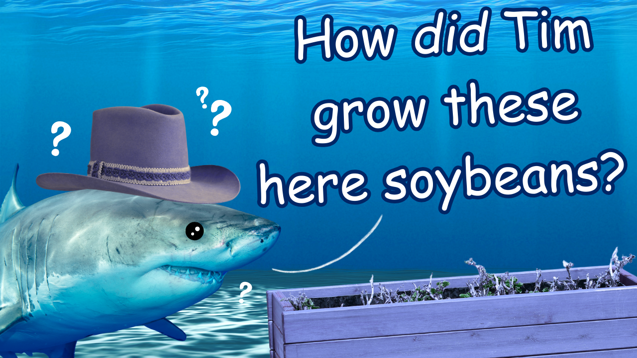 You Can Grow That? | WAG in Focus 08/29/24