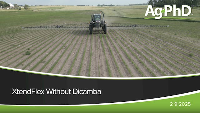 XtendFlex Without Dicamba | Ag PhD