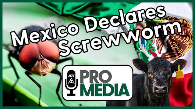 Mexico Declares Screwworm | ATI ProMe...