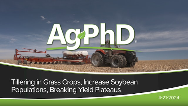 Tillering Grasses, Increase Soybean Population, Breaking Yield Plateaus | Ag PhD