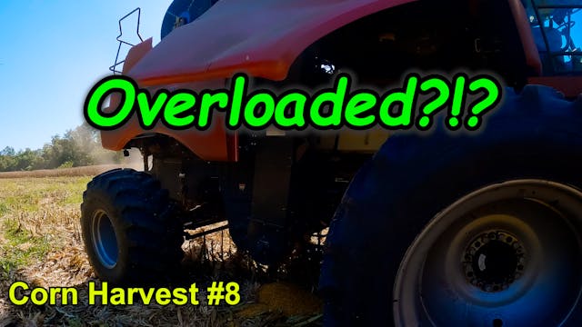 Big Yields Equals Big Chokeups!!!  Co...