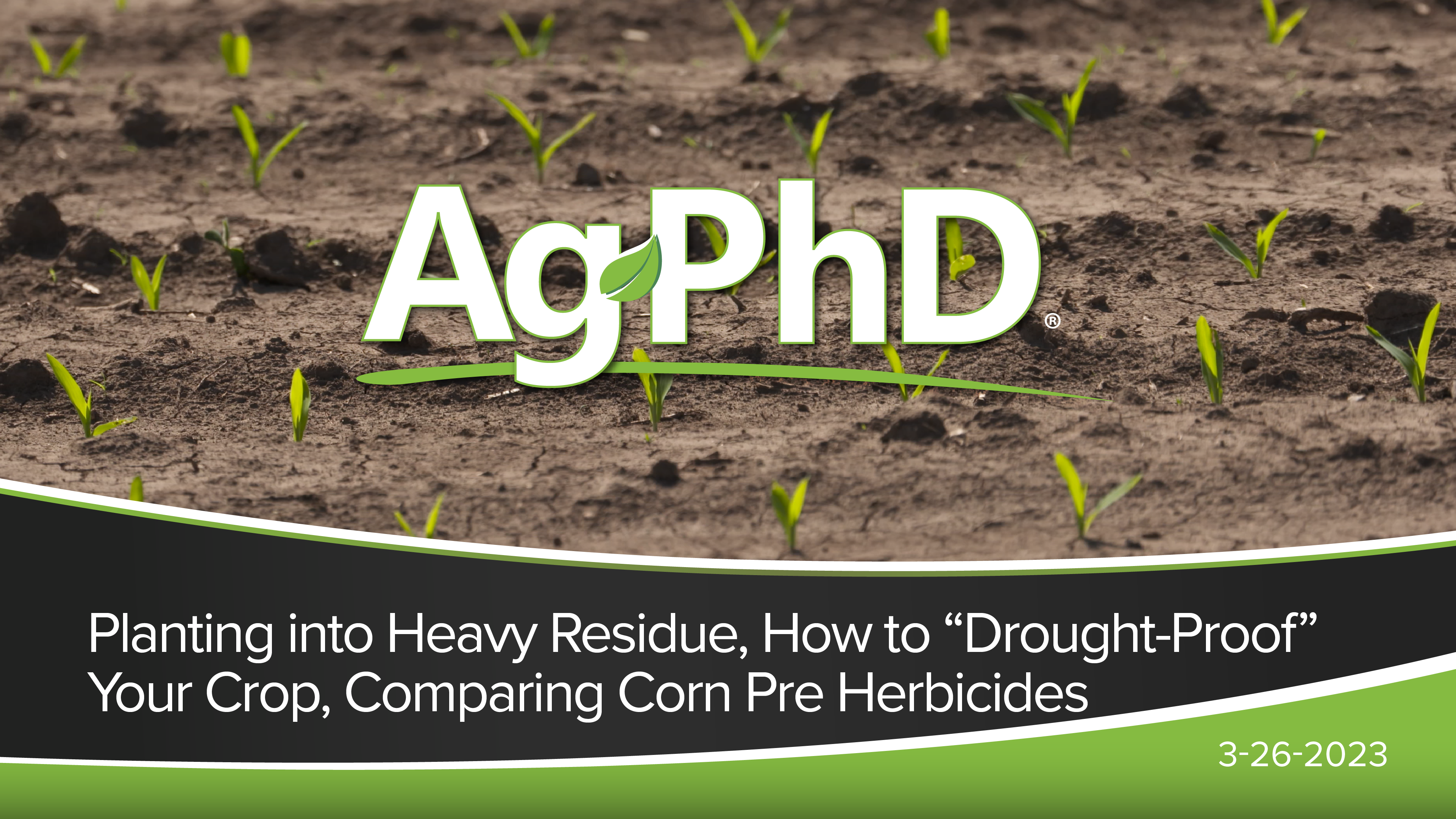 Planting Into Residue, 'Drought-Proof' Your Crop, Comparing Corn Pre's | Ag PhD