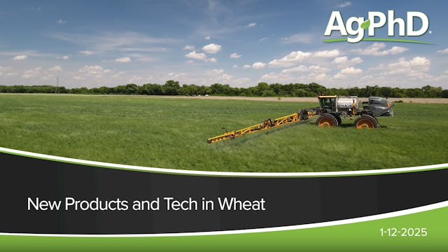 New Products and Tech in Wheat | Ag PhD