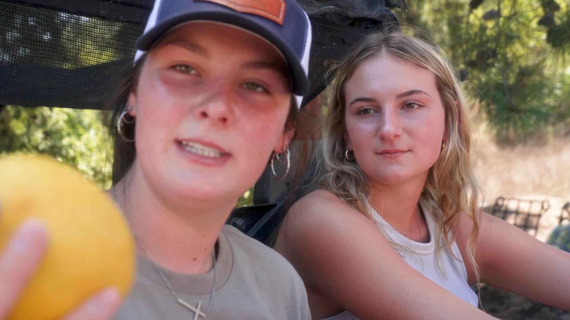 Dolphins and Horses and Sloths, Oh My! | 308 | Live to Farm