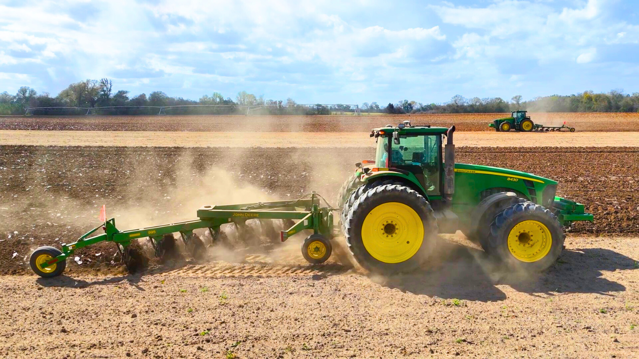 Busy Day Farming in the South | Field Rows