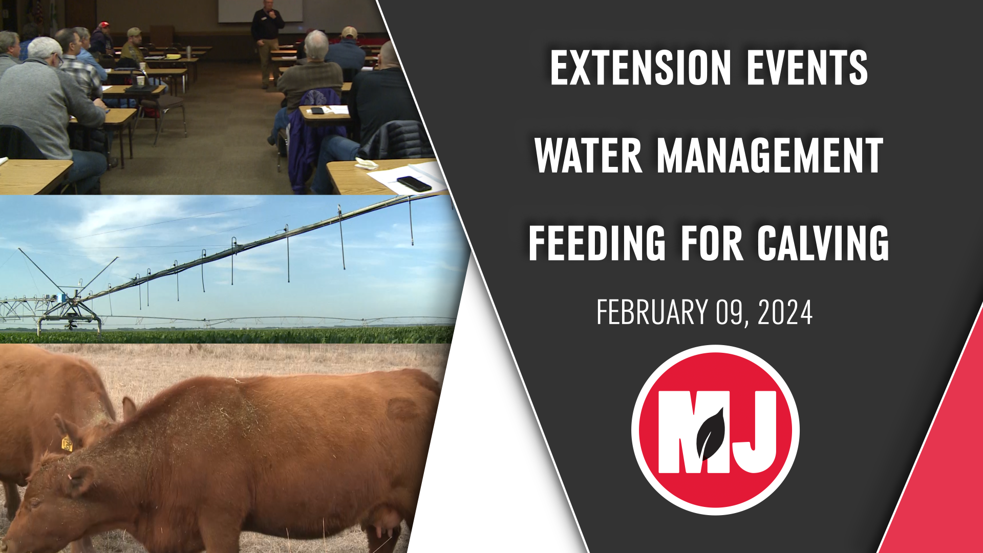 February 09, 2024 | Market Journal