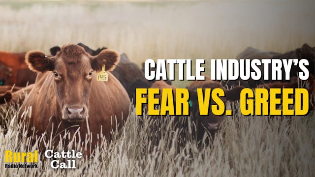 Fear or Greed in the Cattle Industry ...