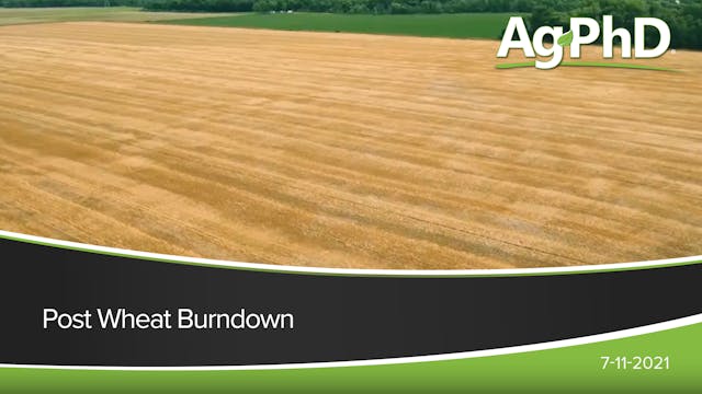 Post Wheat Burndown | Ag PhD