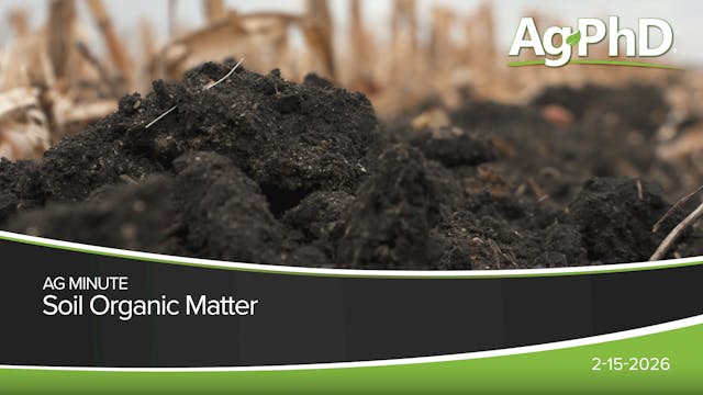 Soil Organic Matter | Ag PhD