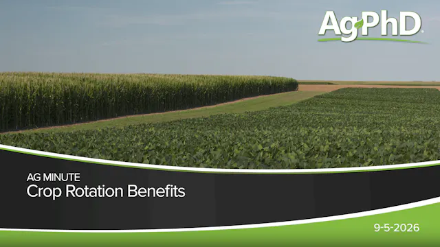 Crop Rotation Benefits | Ag PhD