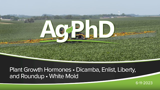 Plant Growth Hormones, Dicamba • Enlist • Liberty • Roundup, White Mold | Ag PhD