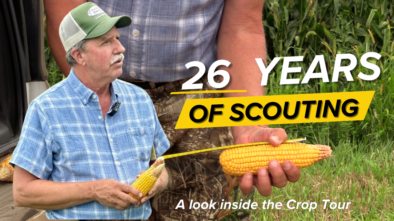 Nebraska Crop Tour Scout Breaks Down What's Happening in the Field