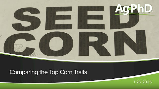 Comparing the Top Corn Traits | Ag PhD