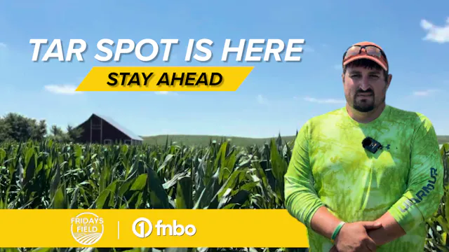 Improving Crop Conditions Shift to Ta...