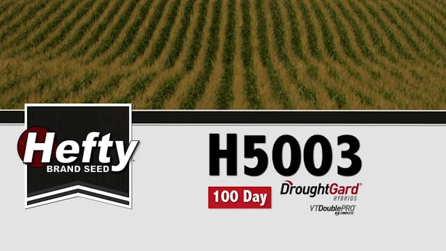 H5003 | 100-Day | DGVT2P