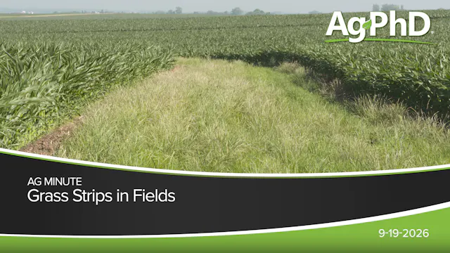 Grass Strips in Fields | Ag PhD