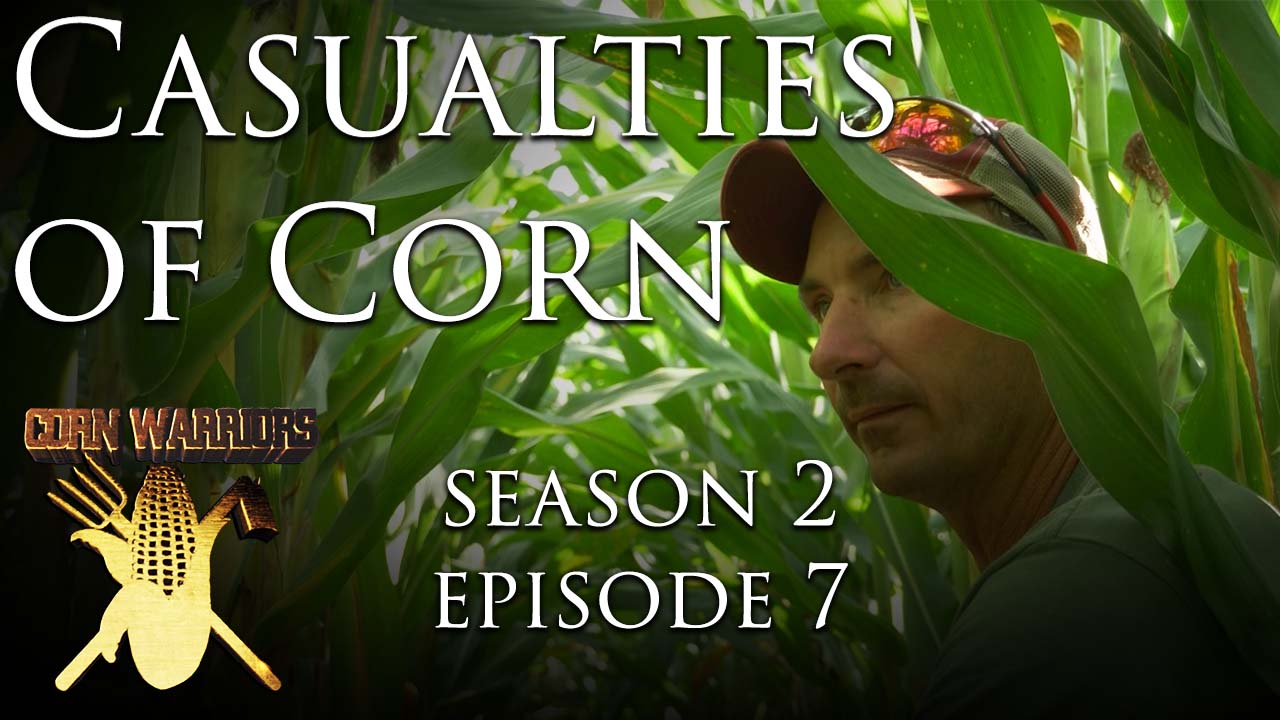 Corn Warriors | 207 | Casualties of Corn