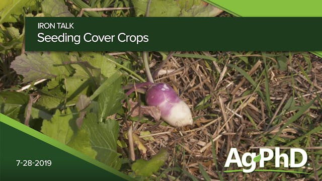 Seeding Cover Crops
