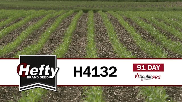 H4132 | 91-Day | VT2P