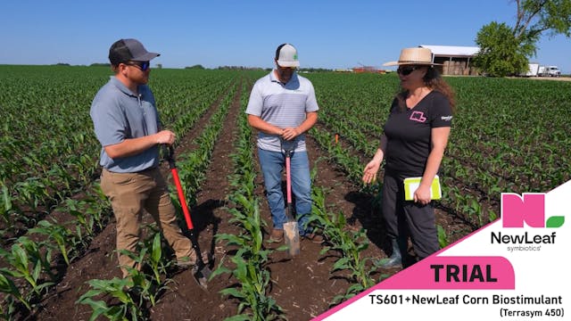 Stacking Your Chances for Success | P...