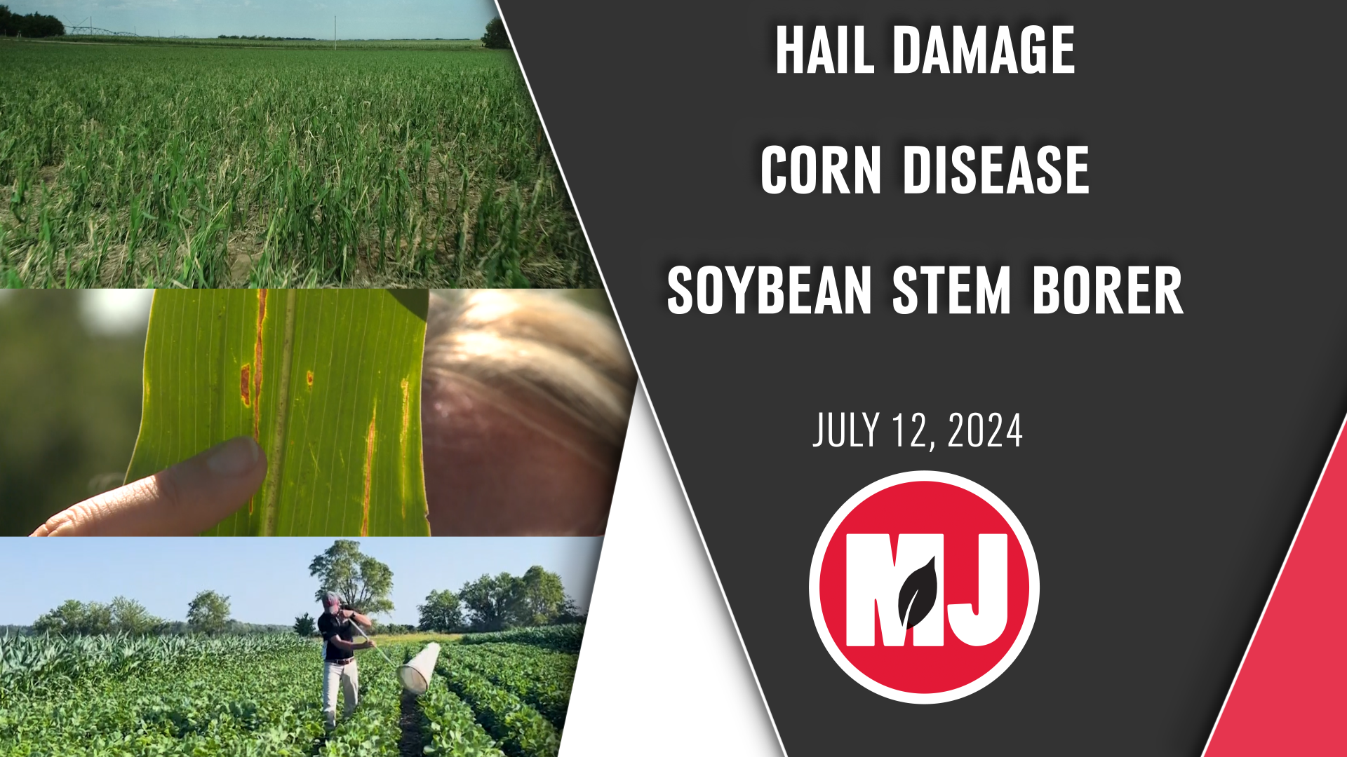 July 13, 2024 | Market Journal