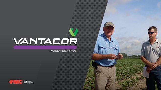 Help Protect Your Cotton Acres and Chemistries With a Sound IPM Strategy l FMC