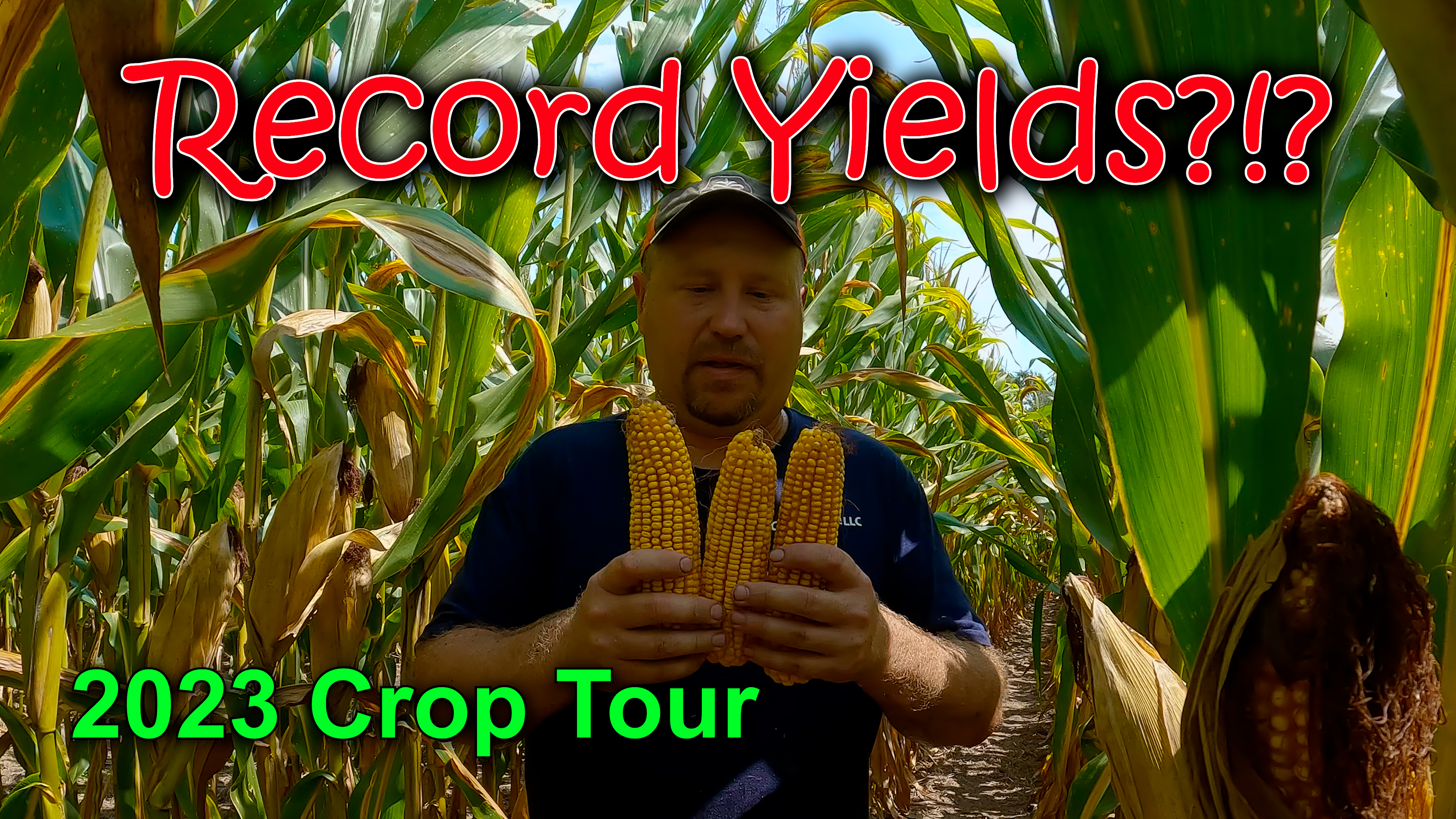 200 Bushel Soybeans Possible???  2023 Crop Tour | Griggs Farms