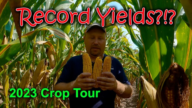 200 Bushel Soybeans Possible???  2023 Crop Tour | Griggs Farms