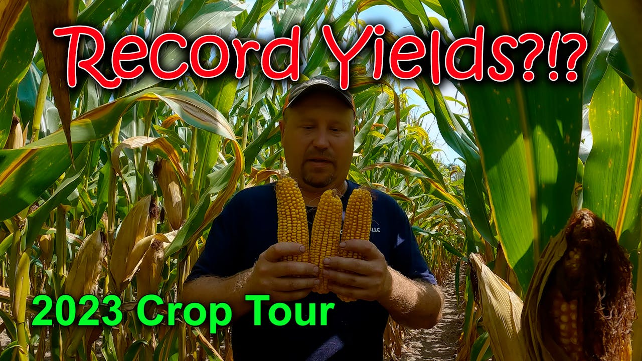 200 Bushel Soybeans Possible??? 2023 Crop Tour Griggs Farms 2023