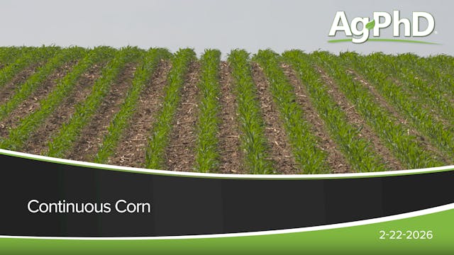 Continuous Corn | Ag PhD