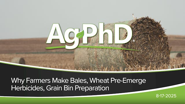 Why Farmers Make Bales, Wheat Pre-Eme...