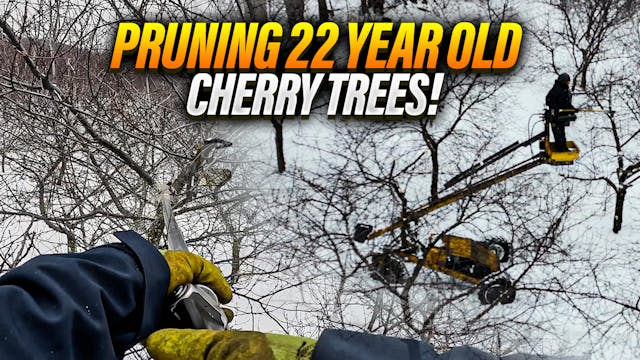 This Is How You Keep 22 Year Old Cher...