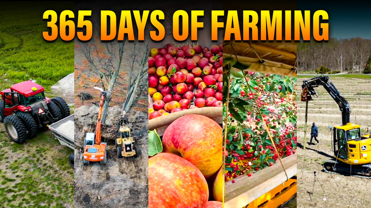 365 Days of Fruit Farming in 15 Minutes | Pomes and Stones