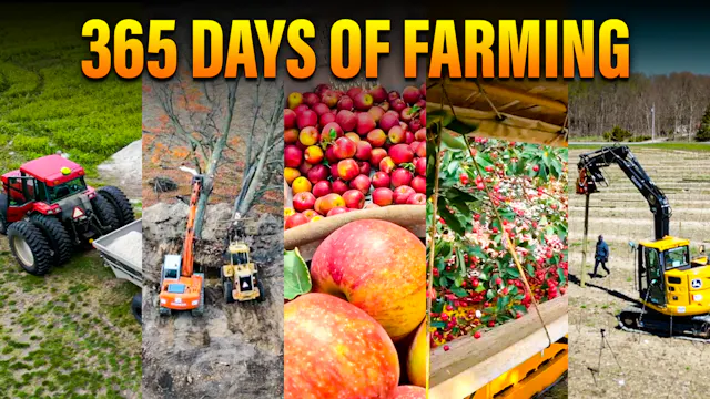 365 Days of Fruit Farming in 15 Minut...
