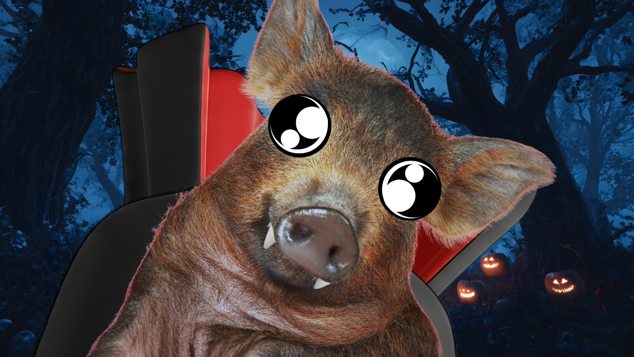 Know where it grows with Miss RRV Fair | WAG in Focus 10-17-25