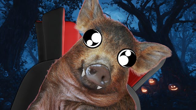 Know where it grows with Miss RRV Fai...