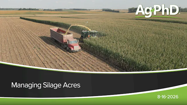 Managing Silage Acres | Ag PhD