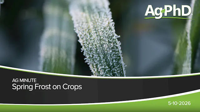 Spring Frost on Crops | Ag PhD