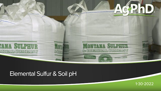 Elemental Sulfur and Soil pH | Ag PhD