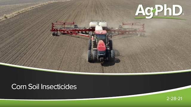 Corn Soil Insecticides | Ag PhD
