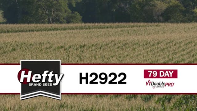 H2922 |  79-Day | VT2P