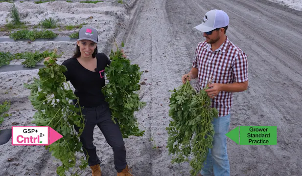 Watermelons Test the Cntrl2+ Stack | ...