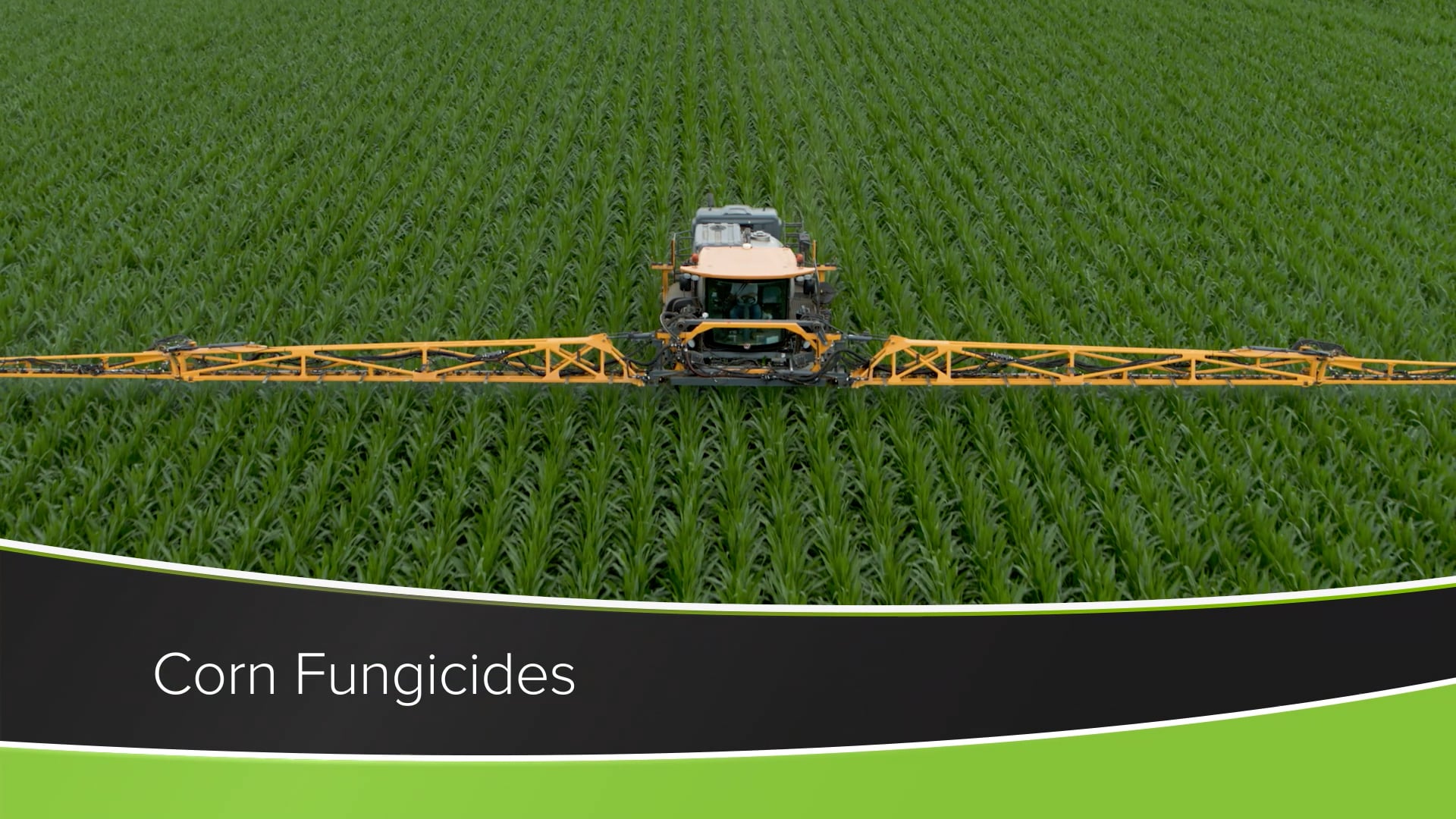 Corn Fungicides | Ag PhD