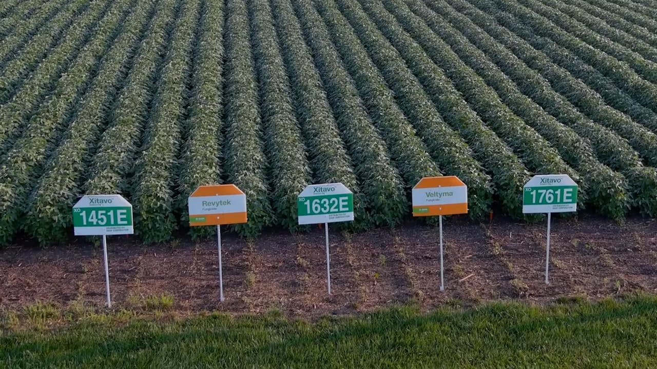 Maximizing Yields with Fungicide Application Timing | BASF - AcresTV