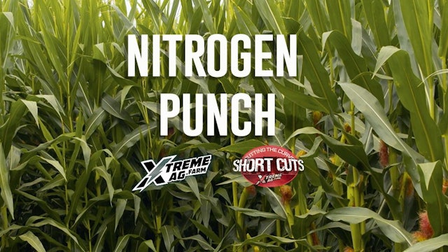 A Nitrogen Punch