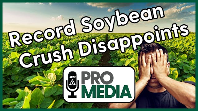 Record Soybean Crush Disappoints | AT...