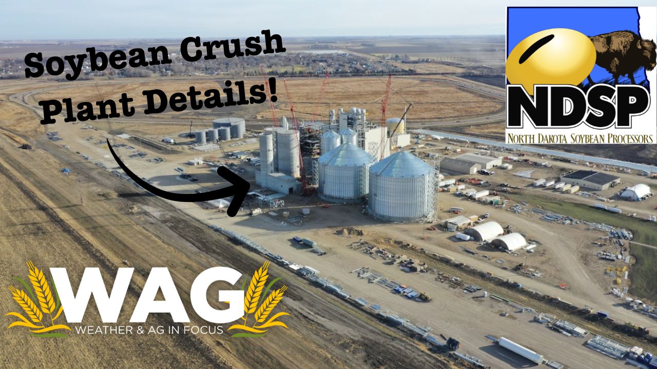 Soybean Crush Plant Details! | WAG In Focus 12/14/23 - AcresTV